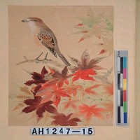 藏品(昭和11年『翠光花鳥版畫集』－伯勞紅樹)的圖片